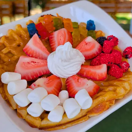 Waffle Personalizado